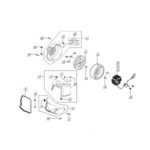 Ontsteking - Stator - Vliegwiel - Koelkappen Kymco New Dink 4-takt wit