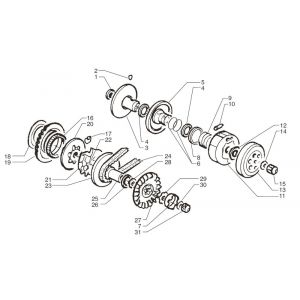 Koppeling - Variateur - V-snaar Moto Martin Tir 10 inch 50 2-takt AC 45km/u