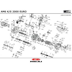 Motorblok in delen Rieju RR Sport oranje 2004 2-takt