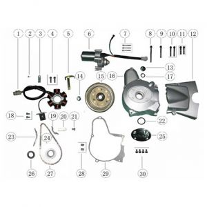 Ontsteking - Stator - Vliegwiel - Ontstekingsdeksel AGM Caferacer