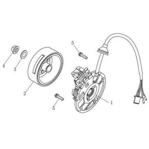 Ontsteking - Stator - Vliegwiel China Venom wit