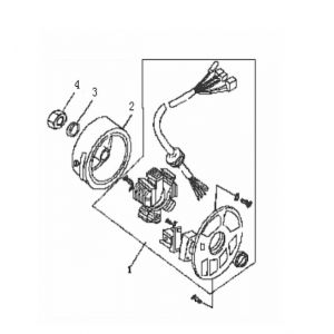 Ontsteking - Stator - Vliegwiel Generic Roc 50 2-takt 2010 zilver