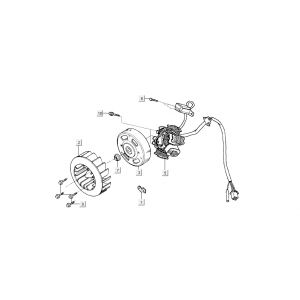 Ontsteking - Stator - Vliegwiel Kymco Super9 50 2-takt AC nieuw model zilver - zwart