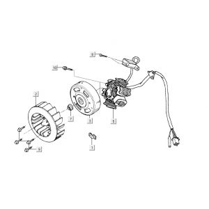 Ontsteking - Stator - Vliegwiel Kymco Vitality 50 2-takt AC blauw