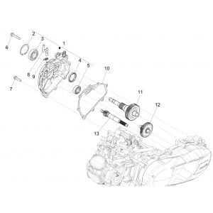 Vertanding - Overbrenging Piaggio Medley 125 IE ABS Euro 4 2016-2019