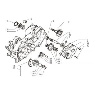 Vertanding - Overbrenging Moto Martin Tir 10 inch 50 2-takt AC 45km/u