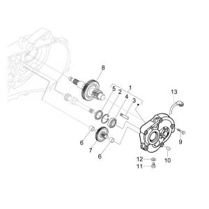 Vertanding - Overbrenging Piaggio New Fly 4-takt 4V