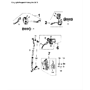 Remcilinder - Remklauw - Remblokken - Remleiding - Stuurschakelaars Peugeot Speedfight 4 50 2-takt LC zwartrood