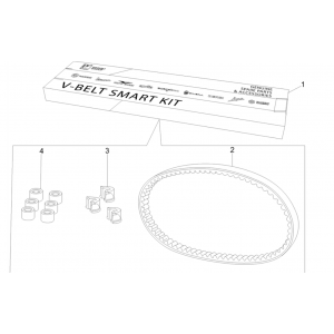 Kit v-snaar - Variateurrollen Vespa GTS 300 Super HPE 4V IE ABS Euro 5 2020-2022
